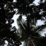 China Reise Bigband_11.JPG